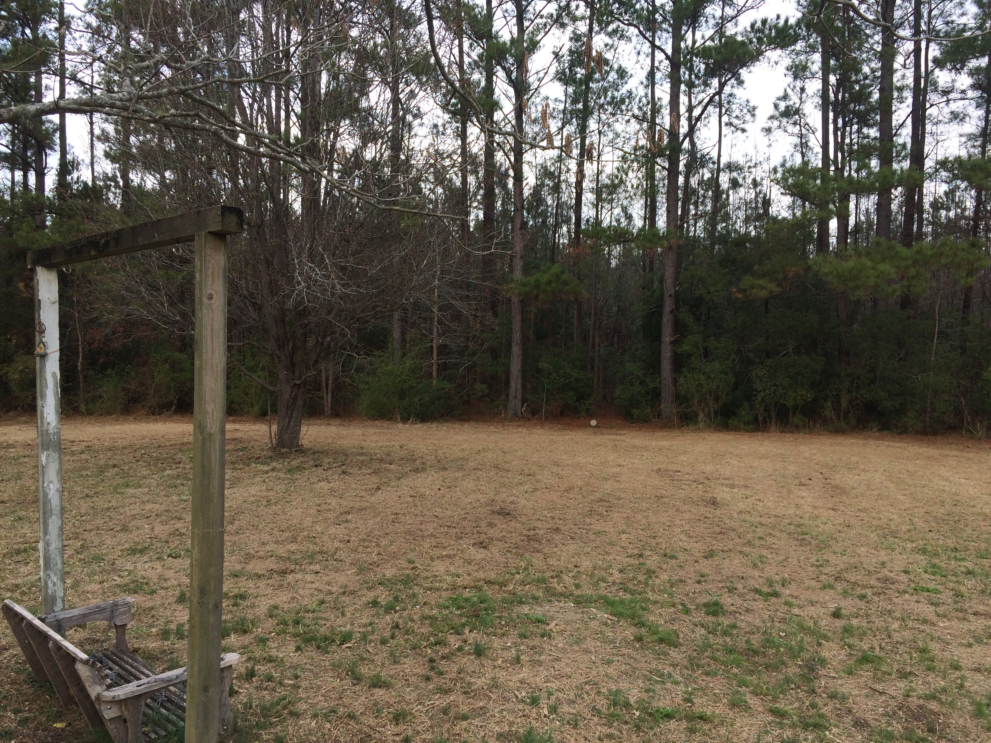 3580 Greenwood Dr Conway SC 29527 843 REALTOR